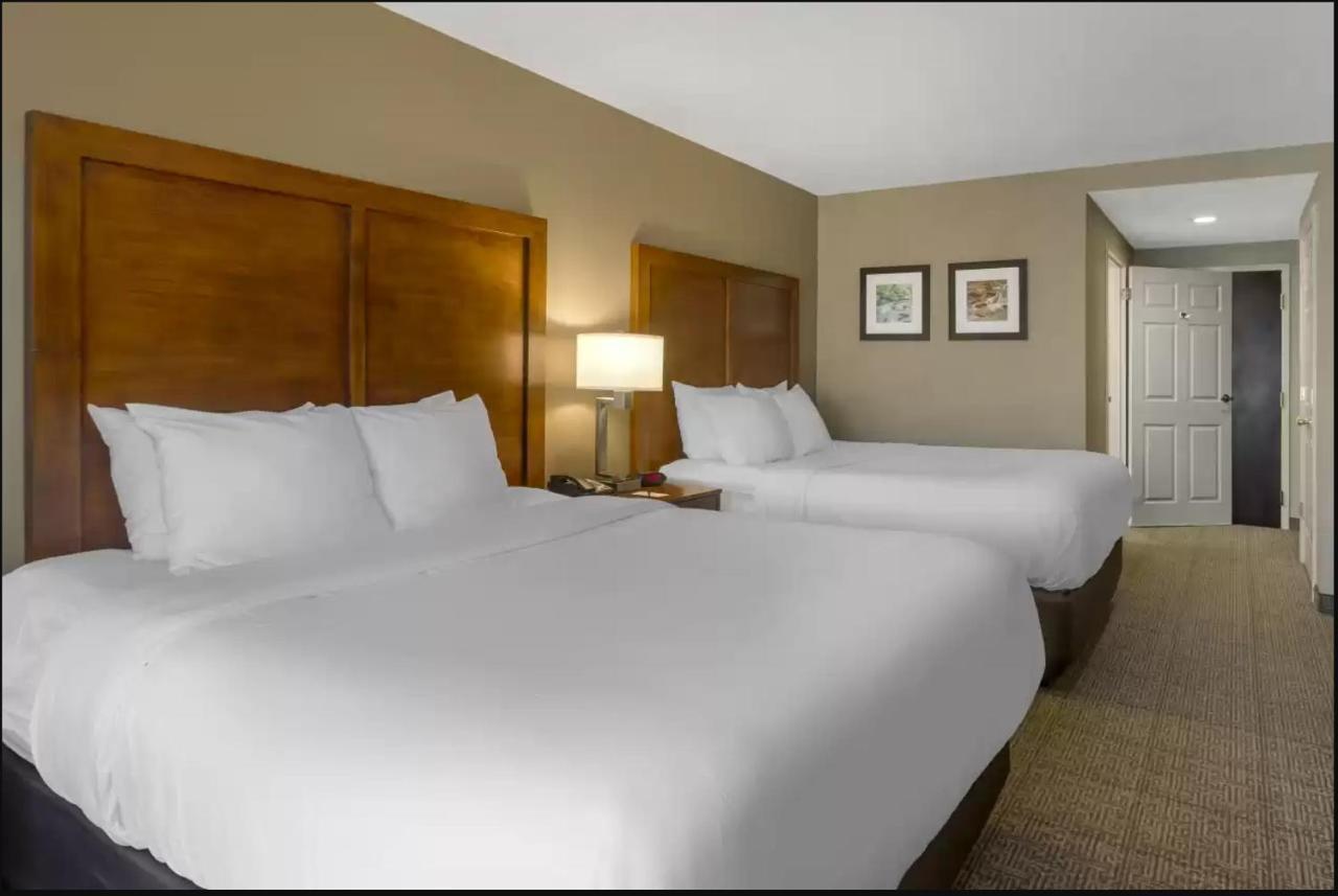 Comfort Inn & Suites Peachtree Corners Norcross Ngoại thất bức ảnh